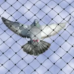bird netting service 500x500 1