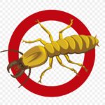 insect clip art pest control termite png favpng 1GhnnX0uwpWcJLkAg3pCRBtUQ